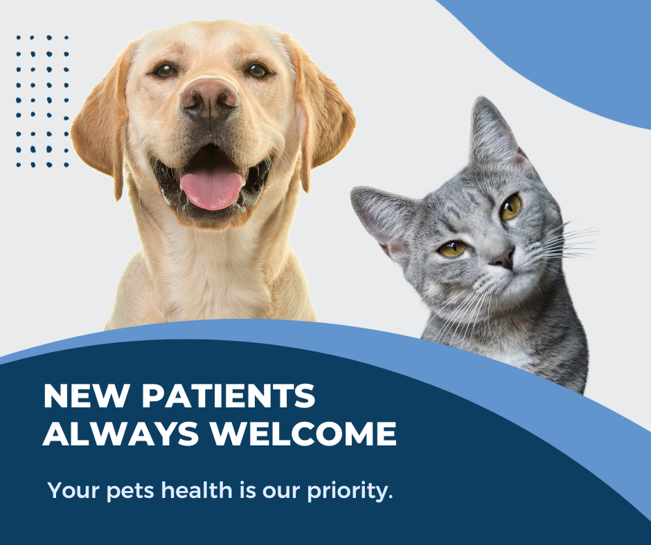 New Patients Welcome - Dog & Cat