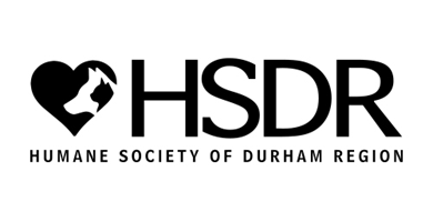 HSDR Logo