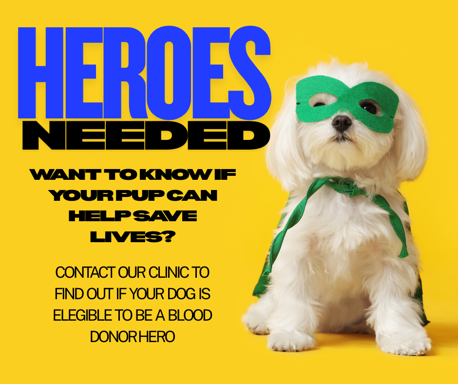 Heroes Needed