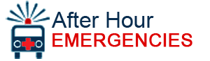 After Hour Emergencies Button