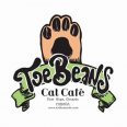 Toe Beans Cat Cafe